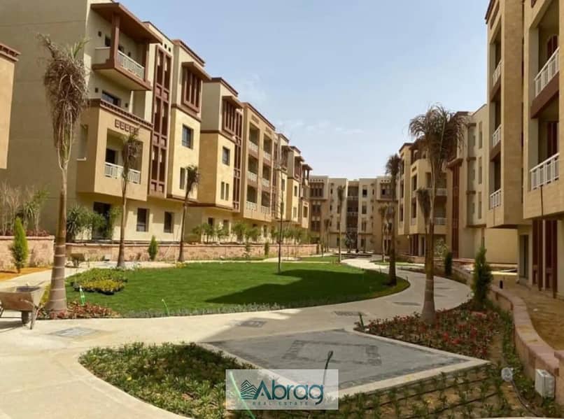 6 7891909-8448bo (1). jpg