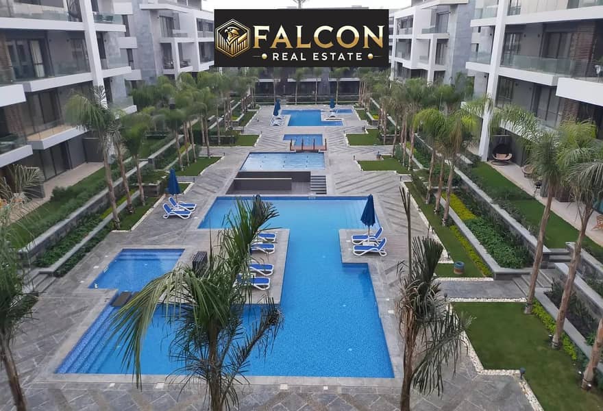 3 419542013_272389489226350_1674418667656418133_n. jpg