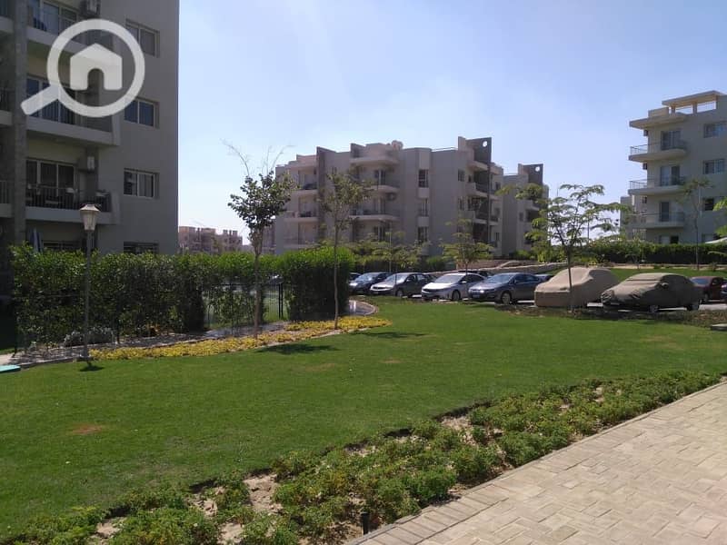 7 7a3976f7-63b2-4285-ba1f-79780a8dd7bc. jpg