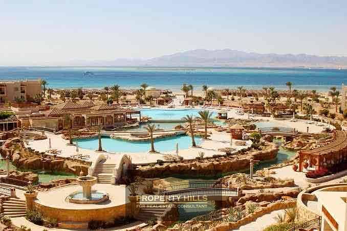 10 7d0423ce-d50a-4cba-941e-793eecd168a8. jpg