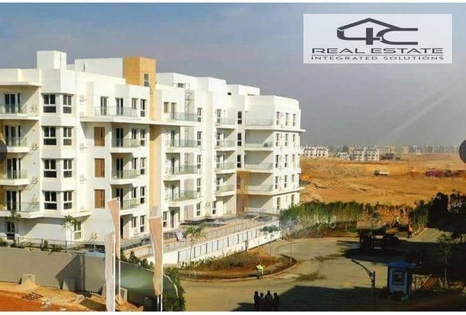 6 4040412-2e64bo. jpg