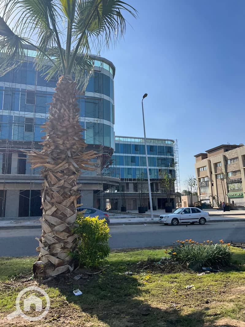 3 IMG-20241210-WA0301. jpg