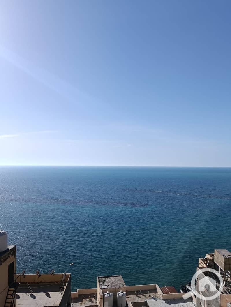 2 5a1ed0aa-b899-4f21-8108-0bf76f240ada. jpg