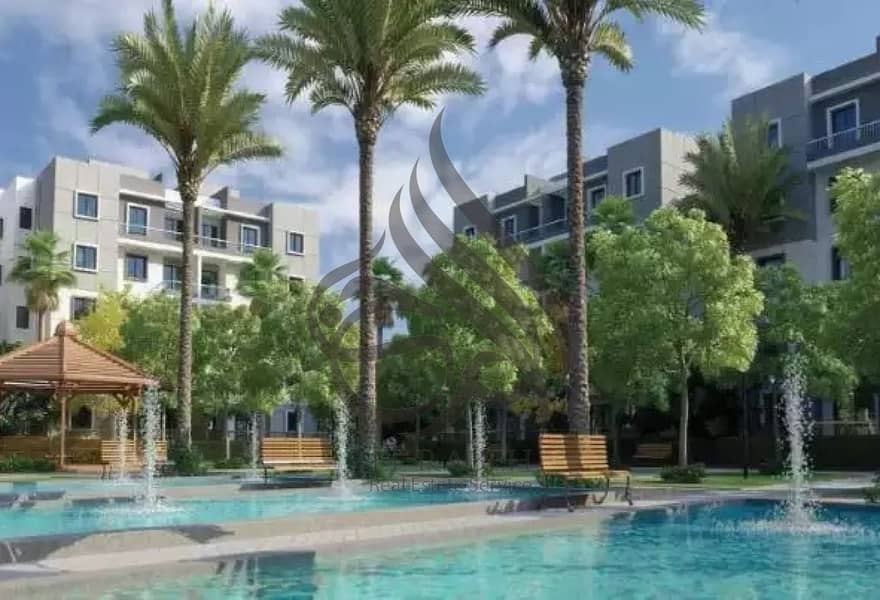 8 ef0d0d52-6590-4a33-bd03-6485ee873353. jpg