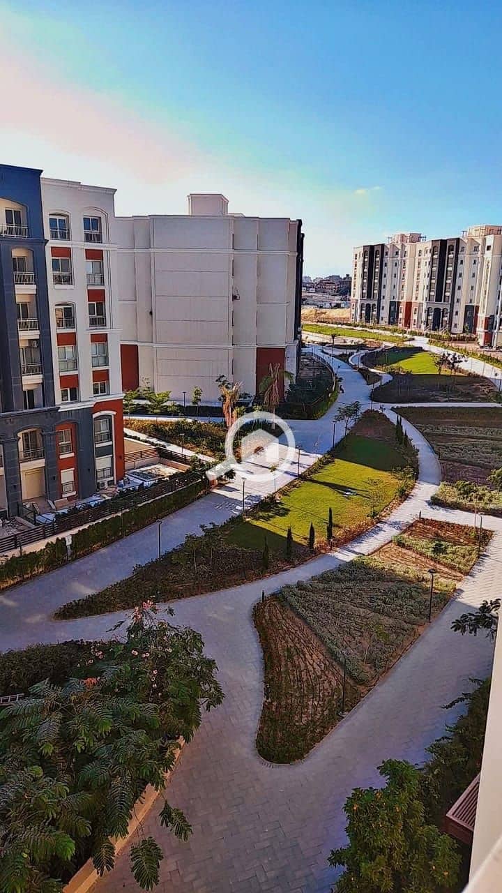 7 IMG-20251015-WA0036. jpg