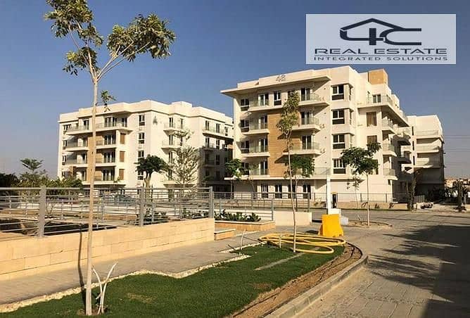 2 3886662-5ed6fo. jpg