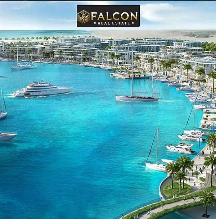 5 6e9419bb-fde0-4545-b686-f0f20e628228. jpg