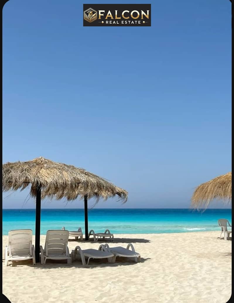 7 b8f8a0b1-e35d-4b7e-b636-6abda69c5034. jpg