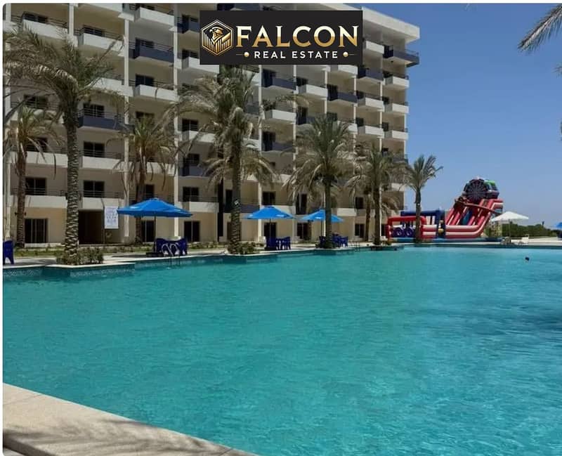 9 6ea06902-e289-4784-9ade-63c49cfa6746. jpg