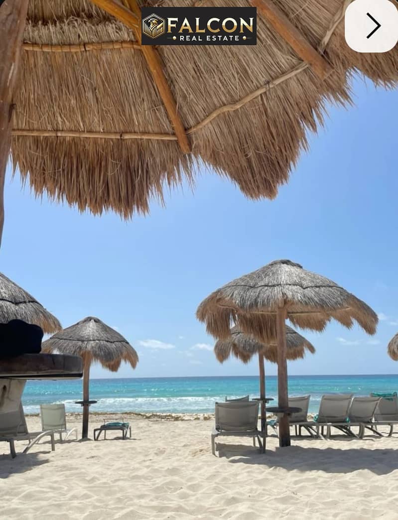 10 28201d7b-e71a-443e-b7bd-66b952923e09. jpg