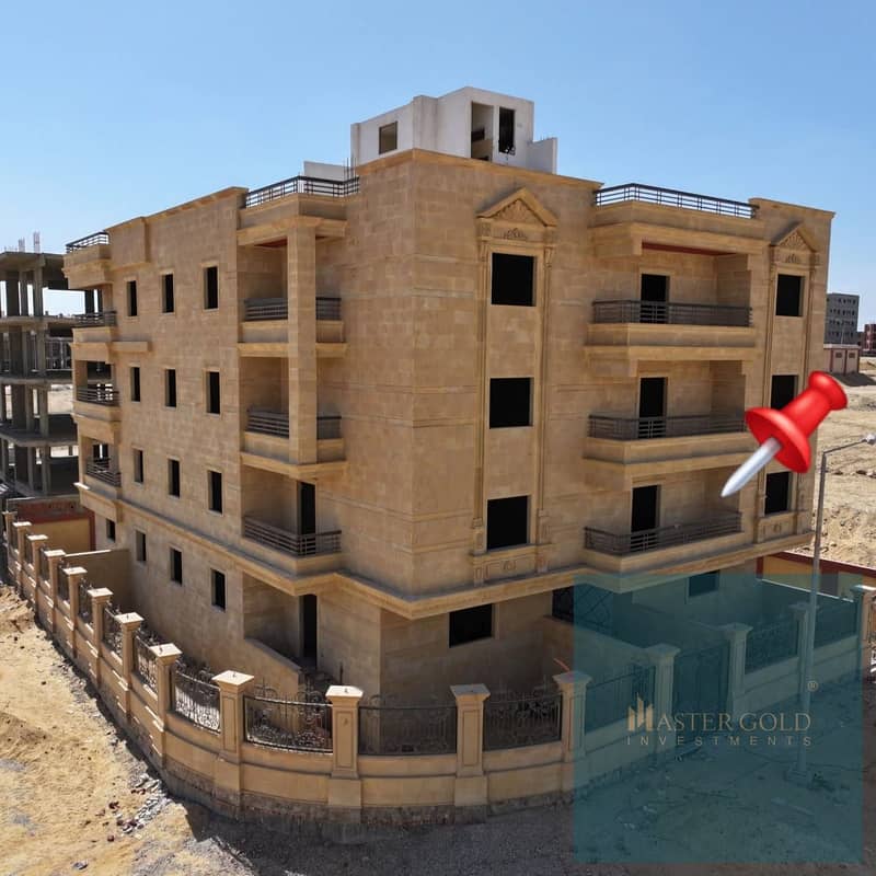 4 WhatsApp Image 2025-12-03 at 14.53. 39. jpeg