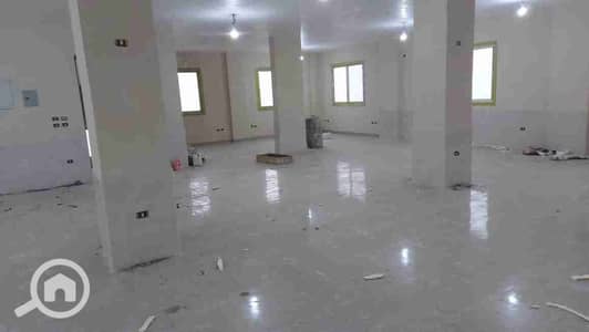مصنع  للايجار في القاهرة الجديدة، القاهرة - 1000030335. jpg