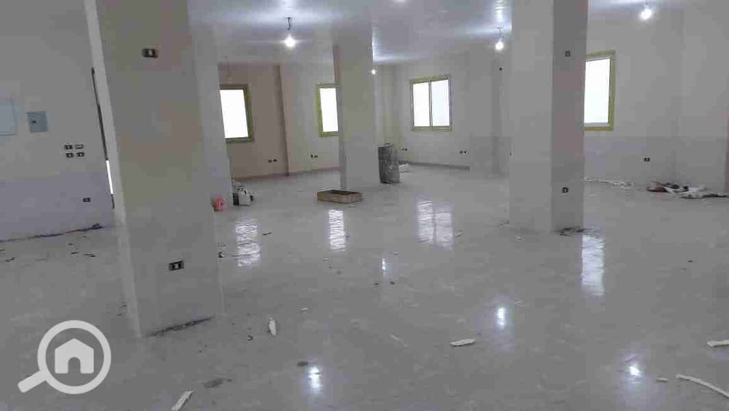 1000030335. jpg 1000030335. jpg