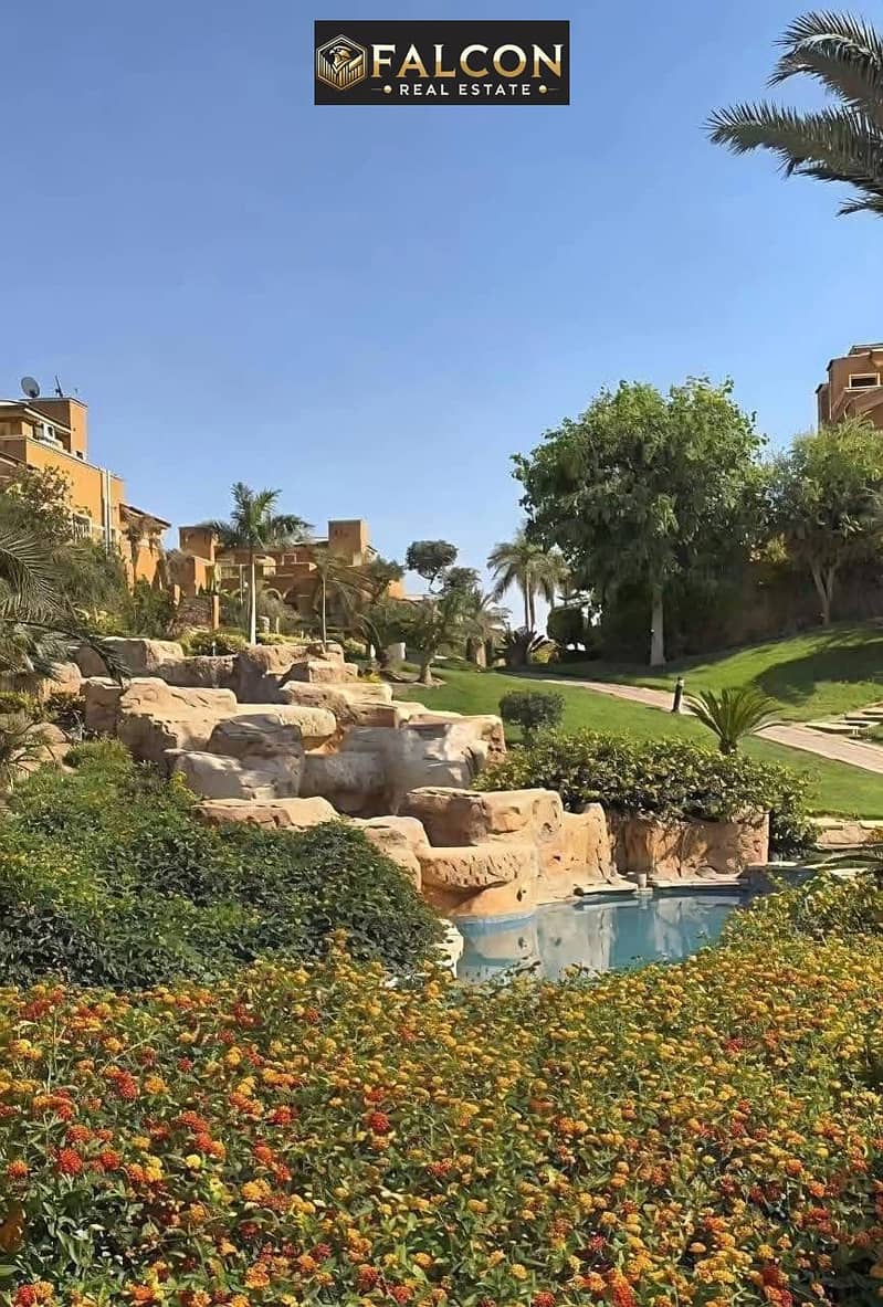 11 575208882_1405661731276015_5534813907396908259_n. jpg