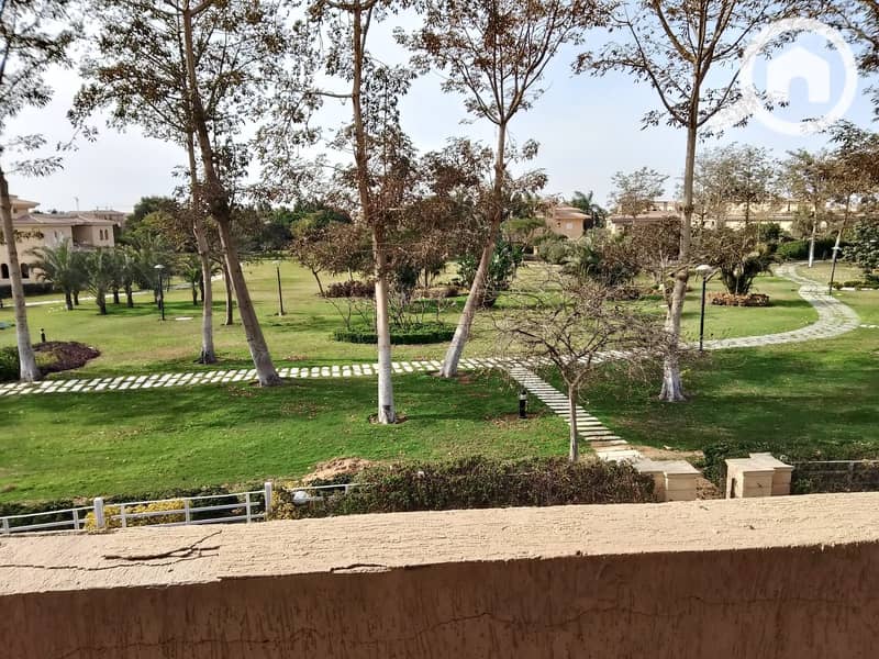 11 4011364b-55ff-4a56-81c7-741968e9c09c. jpeg