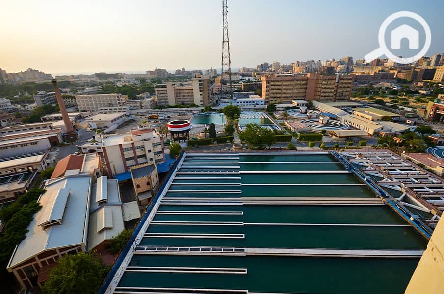 DSC_0215. png DSC_0215. png