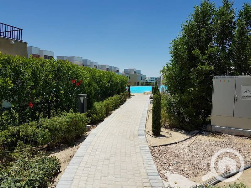 11 WhatsApp Image 2024-05-13 at 12.58. 37_f0913e01. jpg