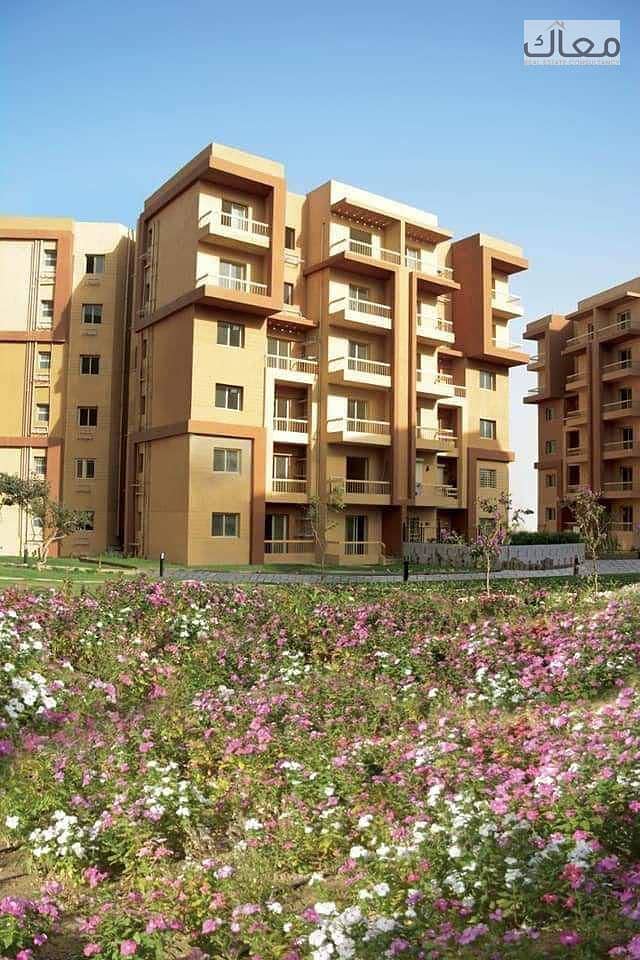 5 WhatsApp Image 2025-12-01 at 13.49. 31 (2). jpeg