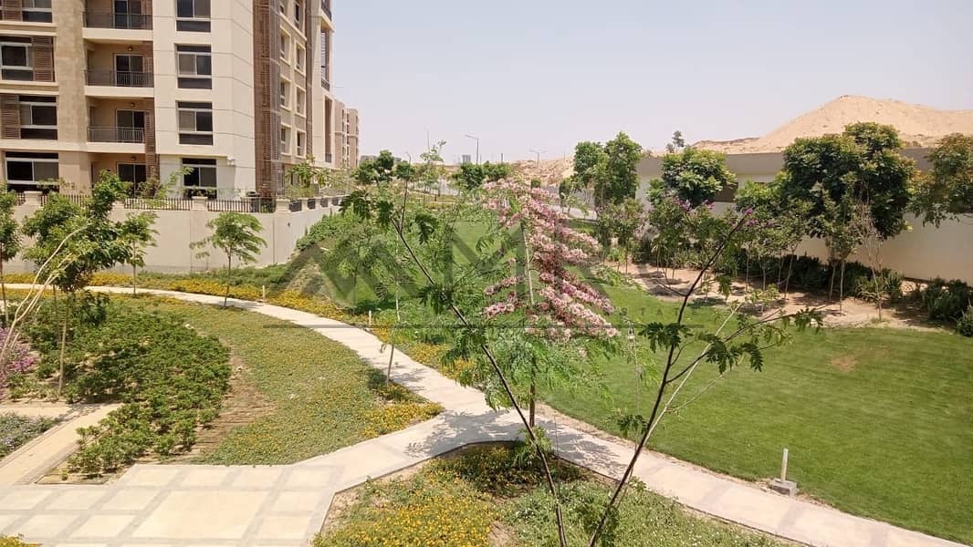 8 4713b554-1683-4ce0-9081-771b985a8140. jpeg