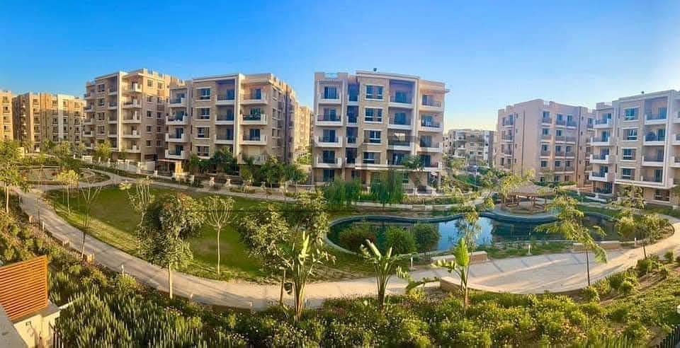 11 dddda89d-7582-4e0e-b513-fd0b9b626fb9. jpeg