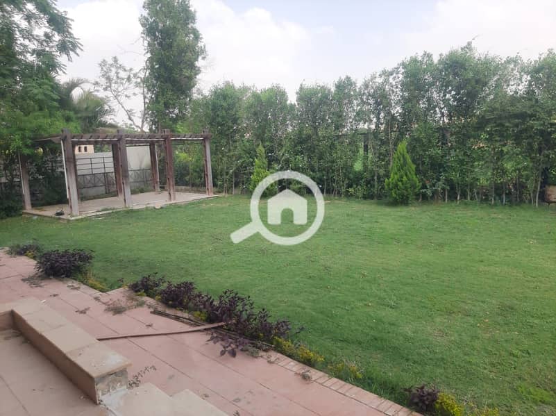 6 5363ae43-f6cb-4f39-8ce4-ce03df1172f3. jpeg