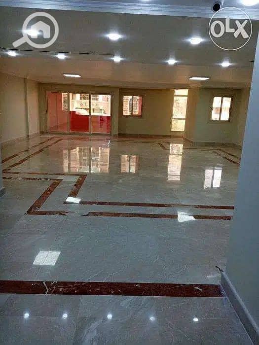 3 17389885-800x600. jpg