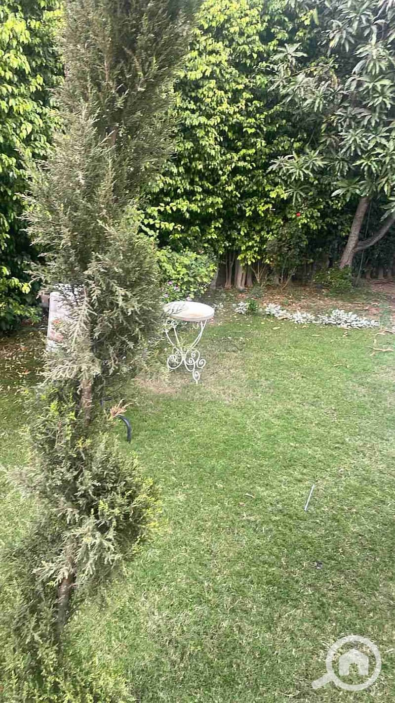 5 IMG-20241007-WA0099. jpg