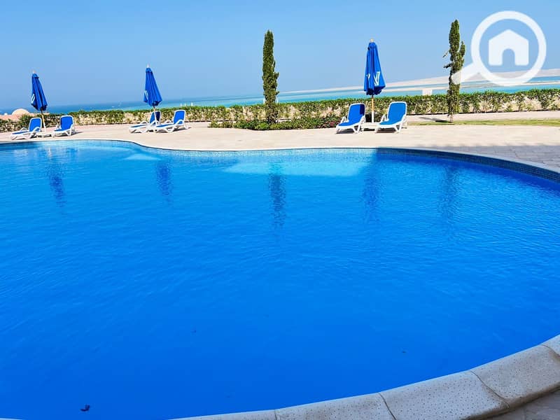 8 WhatsApp Image 2024-10-16 at 13.23. 41. jpeg