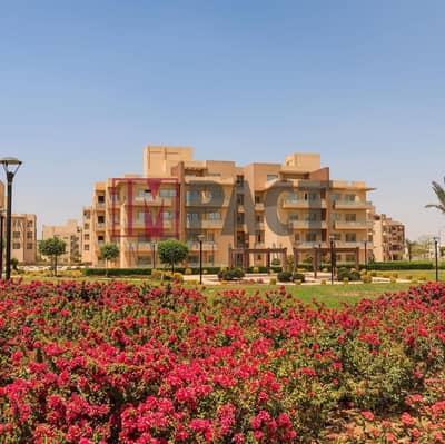 شقة 3 غرف نوم للبيع في مدينة الشروق، القاهرة - 330936073_1257089448564606_4272317496467458467_n. jpg