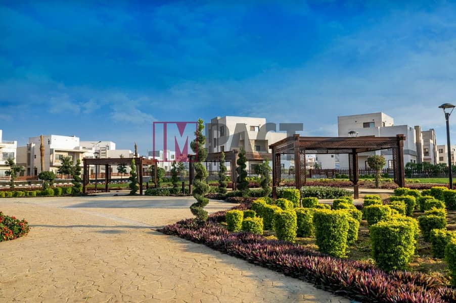 3 391739552_194489917012333_8057301347985745704_n. jpg