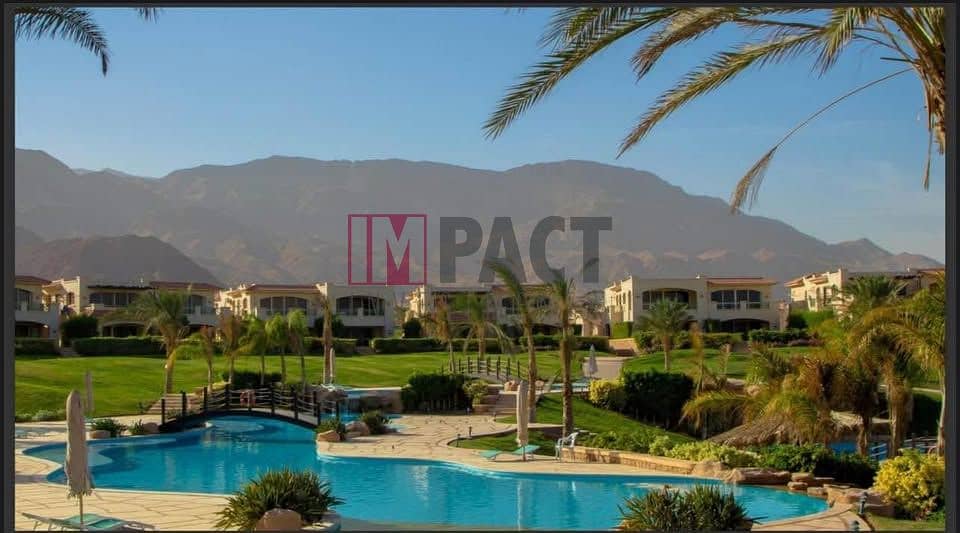 4 484605289_1181293286678636_5987362757505241026_n. jpg