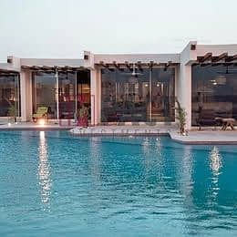 4 482201812_521902457594662_9178198360478103307_n. jpg