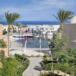 8 526439257_122247044414210937_2988958793693871808_n. jpg