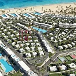 11 517937984_602294299239119_5766883584821932293_n. jpg