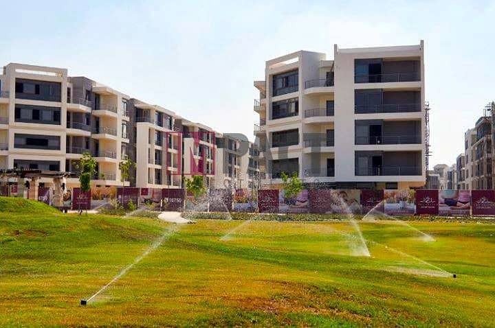 7 WhatsApp Image 2025-08-11 at 13.58. 22 (2). jpeg