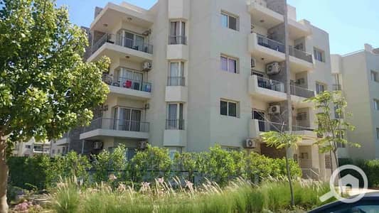 3 Bedroom Flat for Rent in Sheikh Zayed, Giza - WhatsApp Image 2025-10-07 at 4.45. 49 PM (3). jpeg