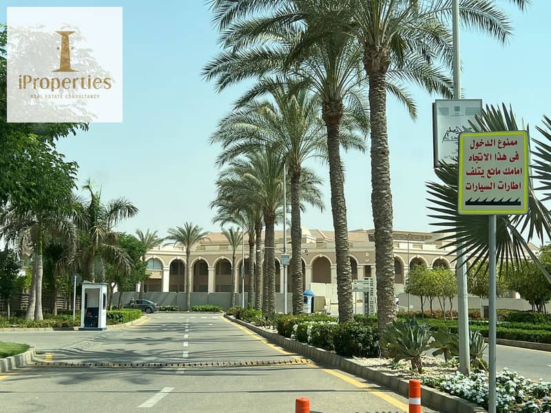 9 44313953-80f0-47d4-a43e-a432cd62661c. png