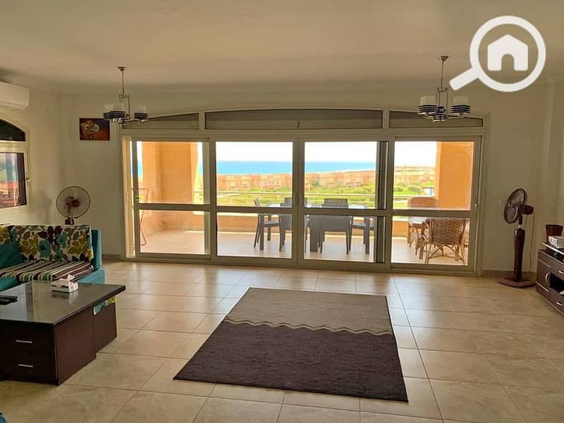 3 434428551_751634103704632_8859375371985690609_n. jpg