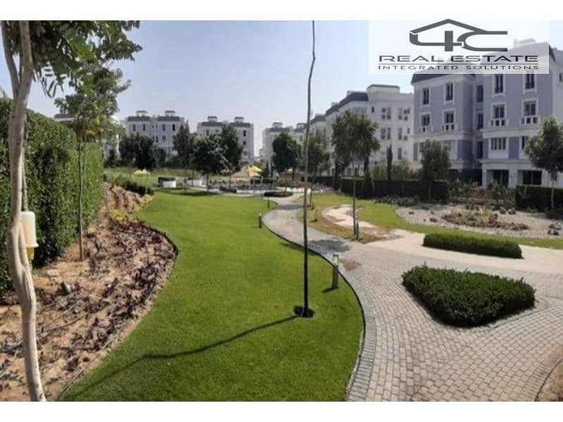 6 3845391-6c365o. jpg