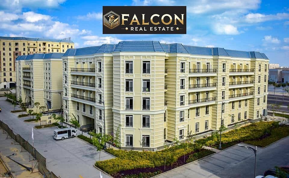 12 WhatsApp Image 2025-08-14 at 16.16. 47_bbe7a5af. jpg