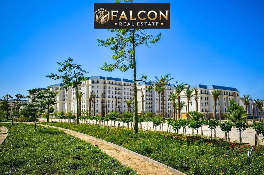 14 WhatsApp Image 2025-08-14 at 16.16. 48_251e1300. jpg