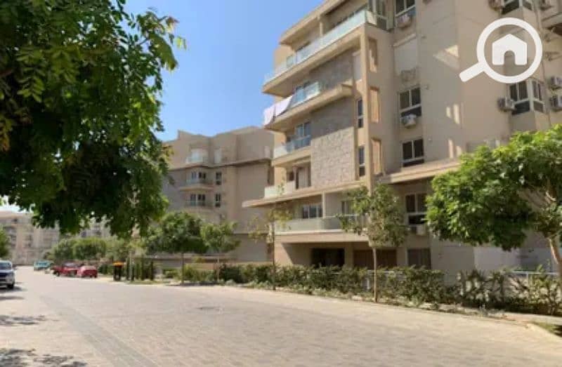 7 7845814-97ae3o. jpg