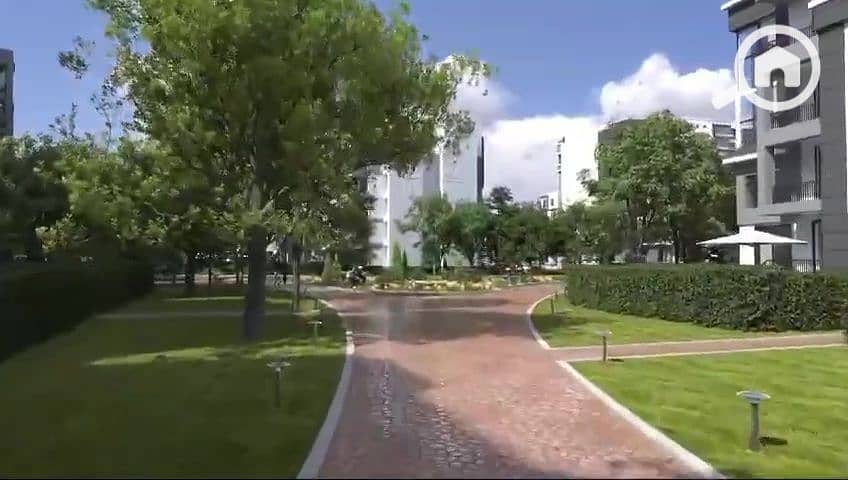 5 vlcsnap-2025-01-12-15h48m14s554. jpg