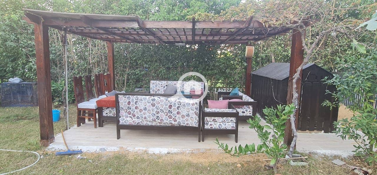 10 917f4aec-a47c-41c8-8161-9ea34211c113. jpeg