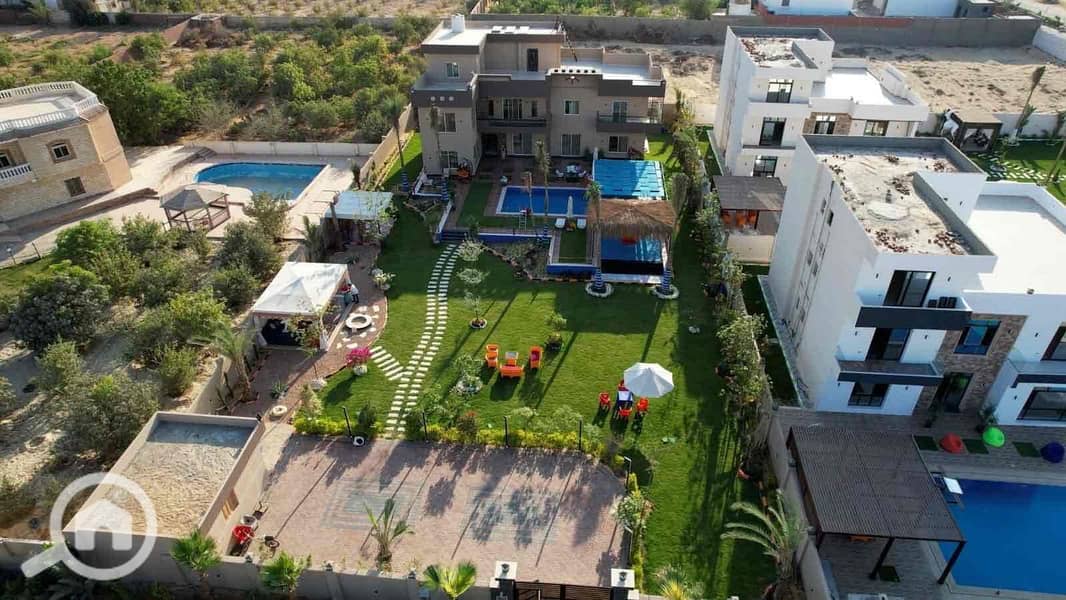 11 9982e41d-f8a8-41a8-9a8e-3fe6a8bd5f26. jpg