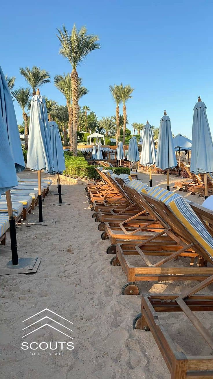 12 5fae67d3710c63fb8fe59e289375c0f6. jpg