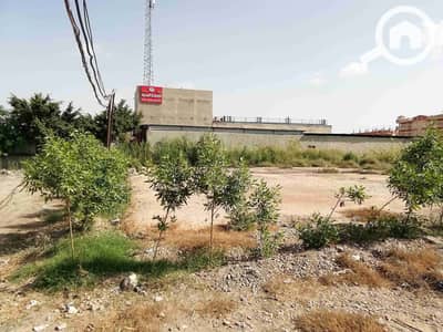 Commercial Land for Rent in Maamoura, Alexandria - IMG_20251004_104702_1. jpg