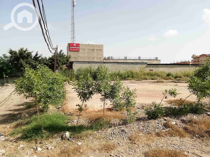 8 IMG_20251004_104700. jpg