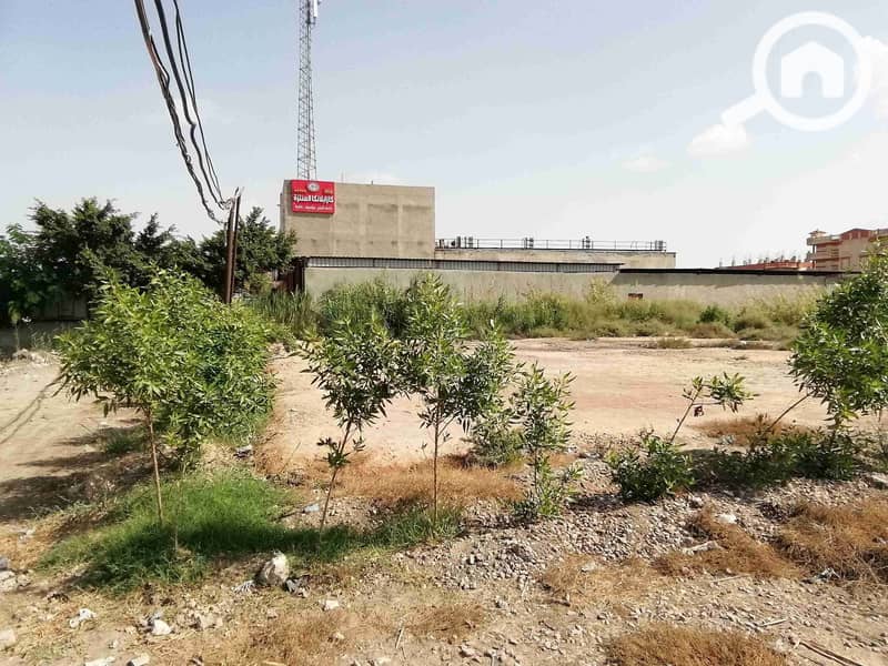 11 IMG_20251004_104701_1. jpg