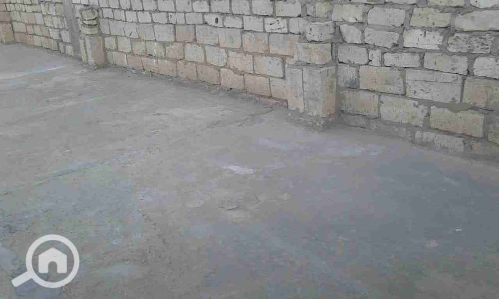 12 IMG-20210324-WA0024. jpg